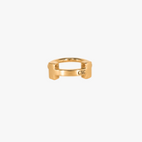 Anillo H
