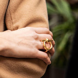 Anillo Omega